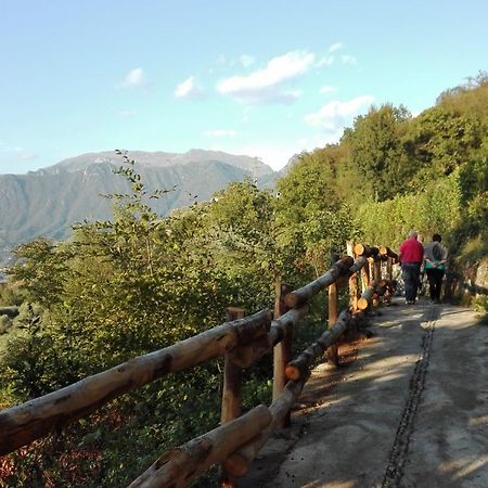 Agriturismo Cascina Lert Marone Eksteriør bilde